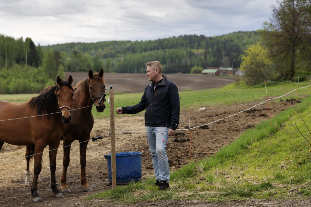 Kaksi hevosta ja mieshenkilö. Taustalla peltoa ja metsää.